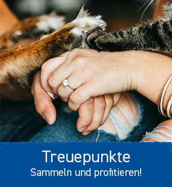 Treuepunkte