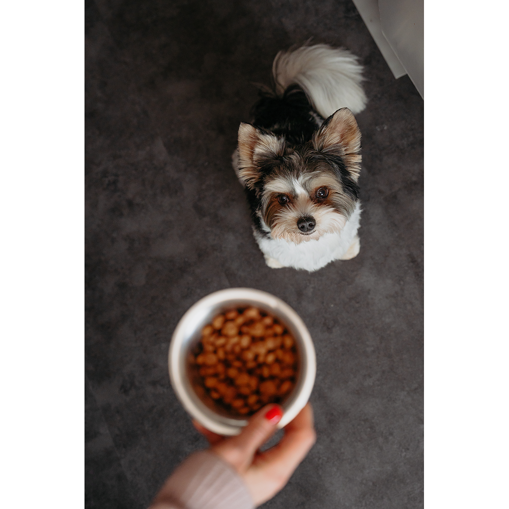 Dog Adult Small & Toy Neutered von Virbac Bild 5