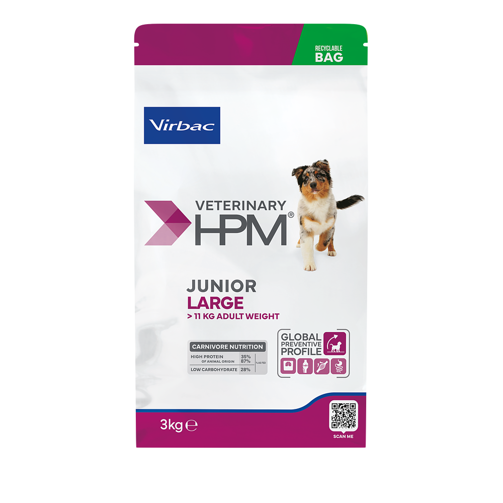 Dog Junior Large von Virbac Bild 2