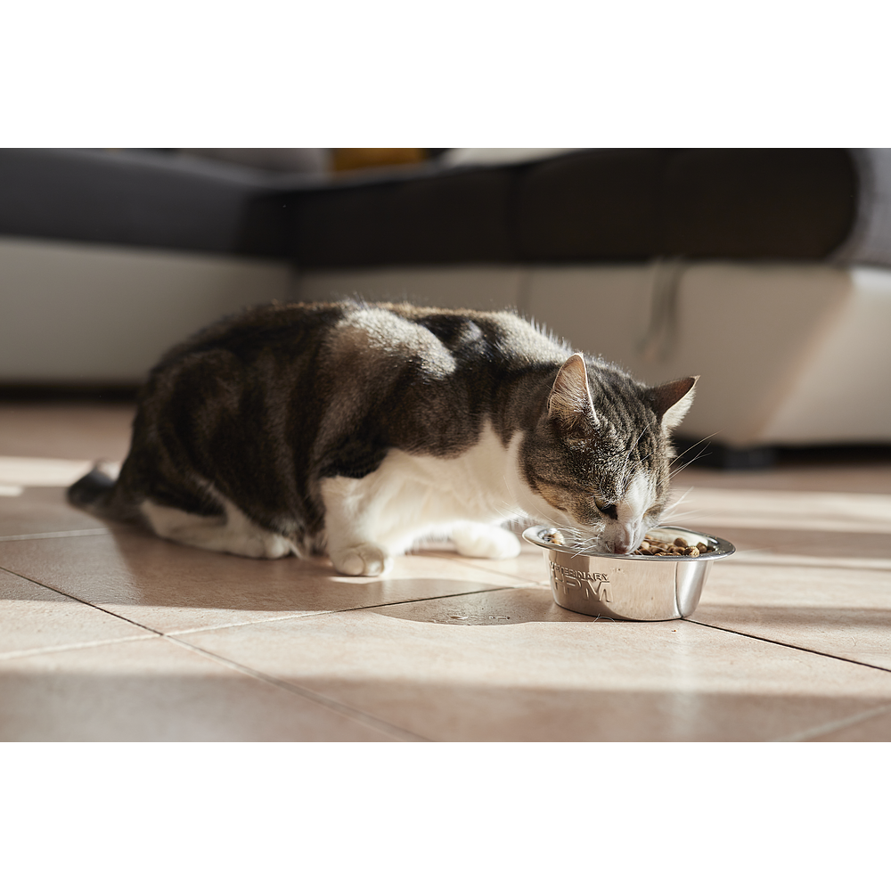 Cat Adult Neutered von Virbac Bild 5