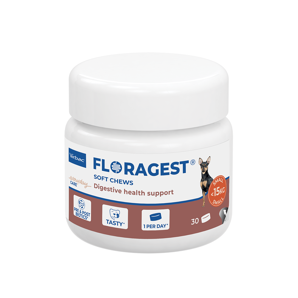 Floragest Hund von Virbac