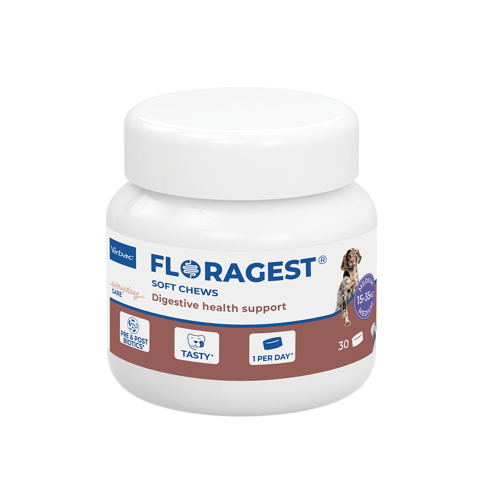 Floragest Hund von Virbac