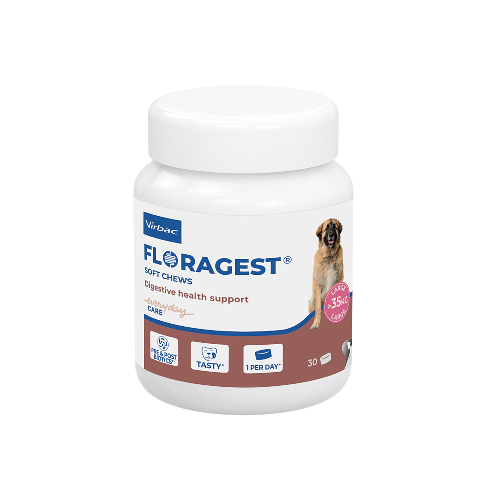 Floragest Hund von Virbac