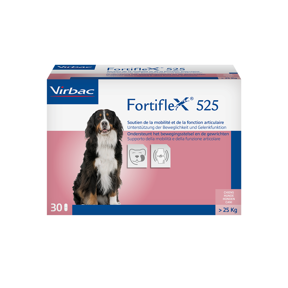 Fortiflex 525 von Virbac