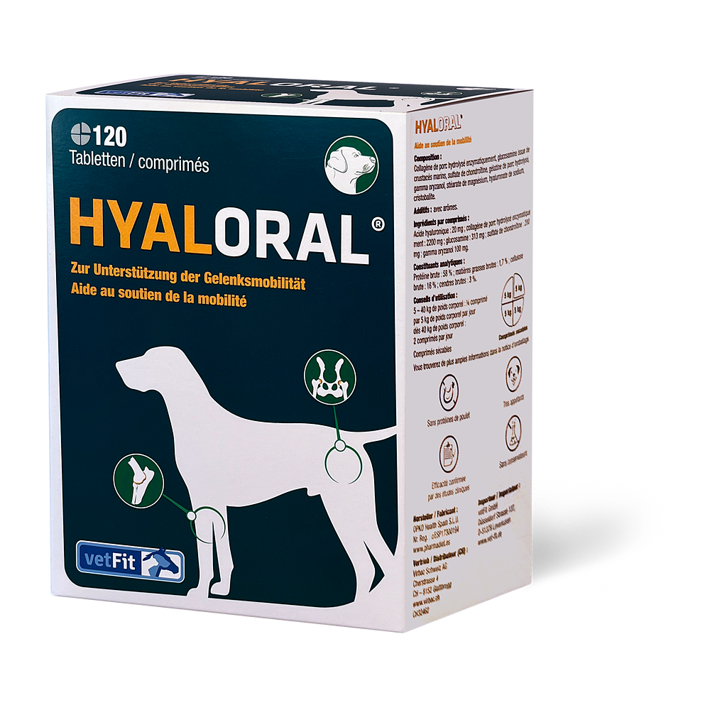 Hyaloral Tabletten  von Virbac