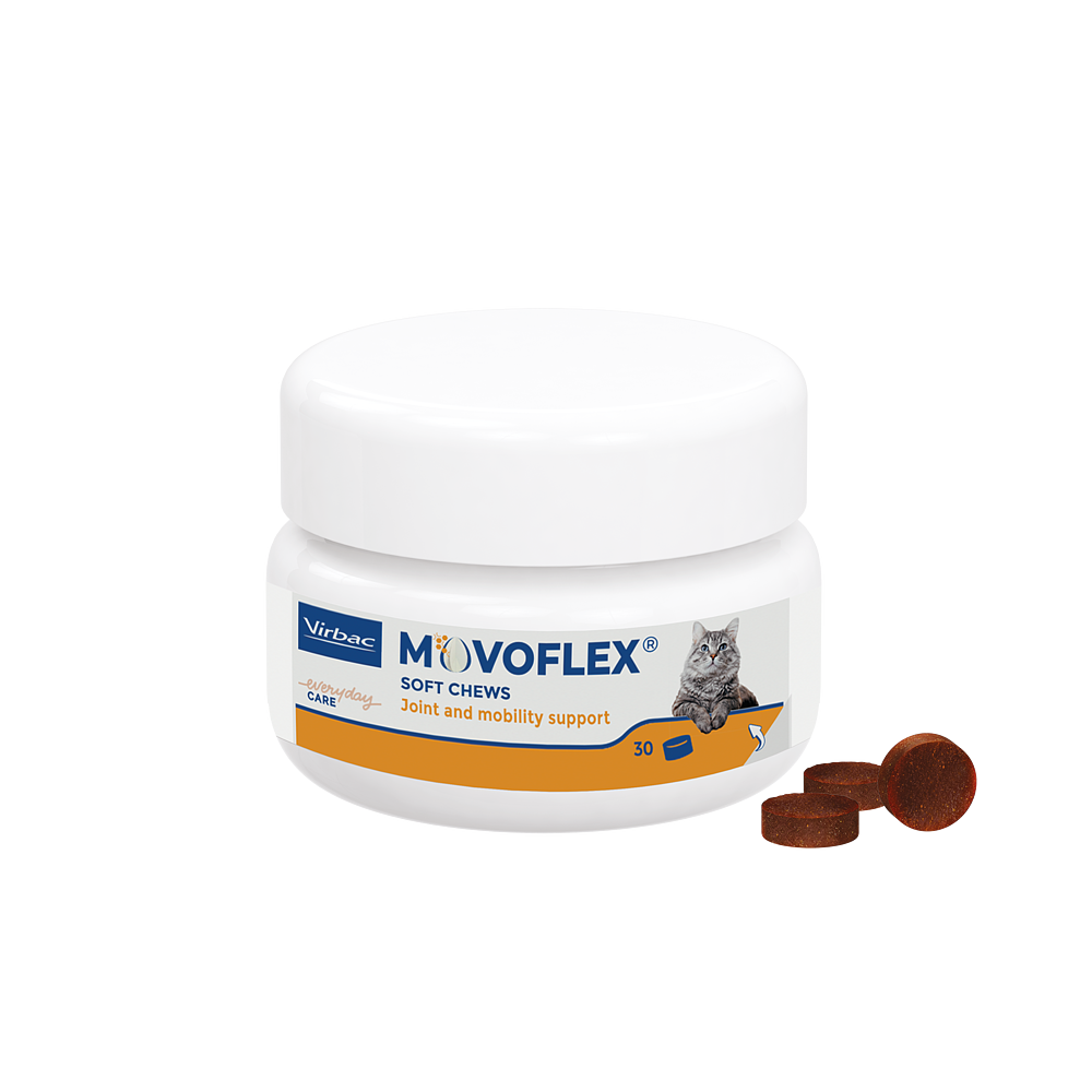 Movoflex Katze von Virbac