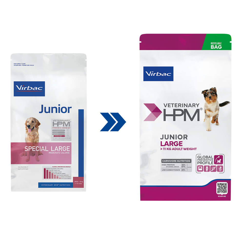 Dog Junior Large von Virbac