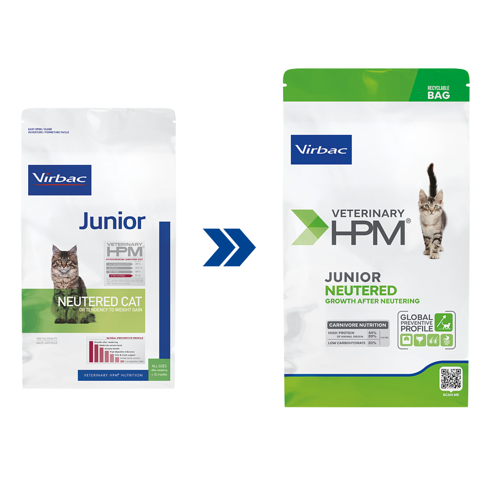 Cat Junior Neutered von Virbac