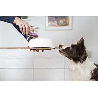Dog Adult Sensitive Digest Large & Medium von Virbac Bild 5