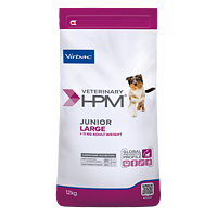 Dog Junior Large von Virbac Bild 2