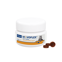 Movoflex Katze von Virbac