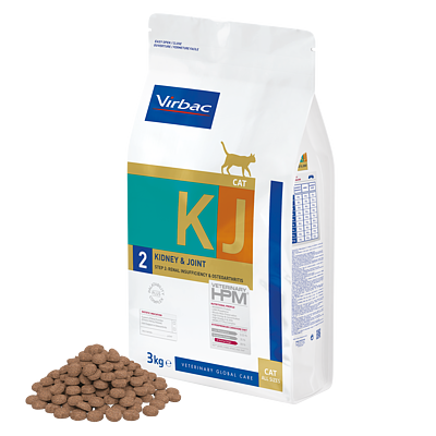 Cat Kidney & Joint KJ2 von Virbac