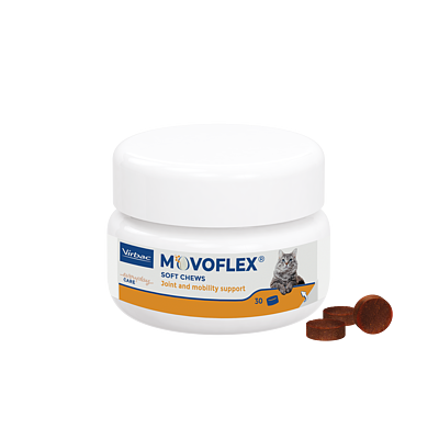 Movoflex Katze von Virbac